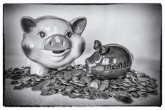 2015 Thema Farbe "Food" SW "Geld"