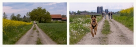 03.Rang RR106 Weg