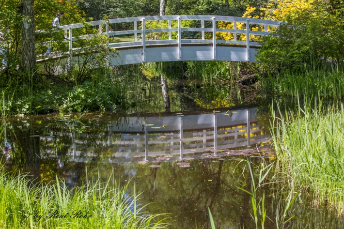Brücke im Seleger Moor