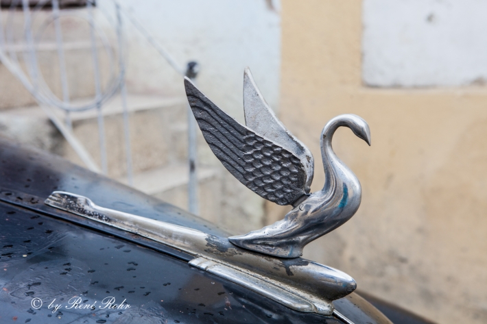 ©_René Rohr Emblem _2