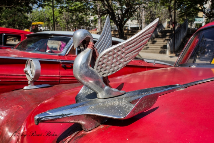 ©_René Rohr Emblem
