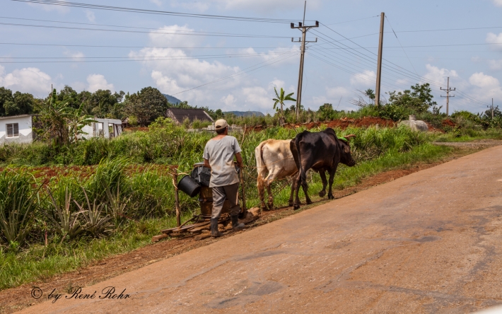 Valle de Viñales - Landwirtschaft