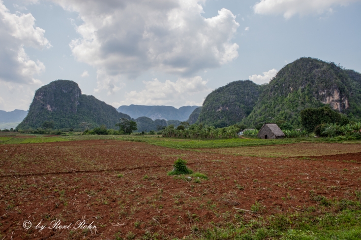 Viñales Tal