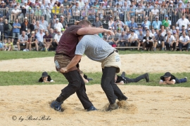 R.R Unspunnen Schwinget 2017 (315)