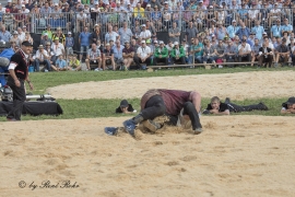 R.R Unspunnen Schwinget 2017 (324)