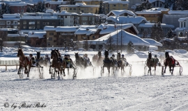 White torf St Moritz 2014