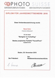 FotoSuisse