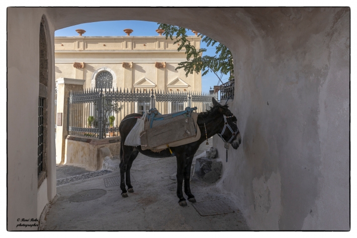 Santorini 2019 (27)