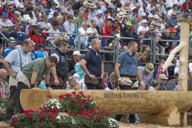 R.R Unspunnen Schwinget 2017 (67)
