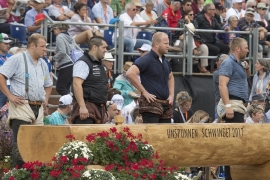 R.R Unspunnen Schwinget 2017 (68)