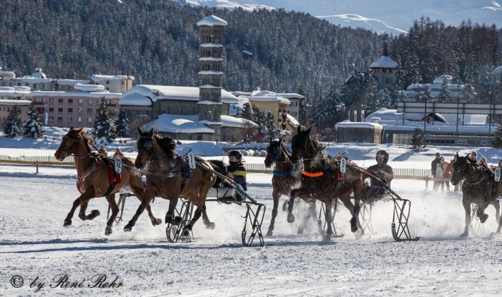 Trabrennen Start