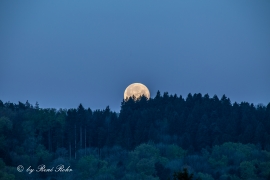 Vollmond